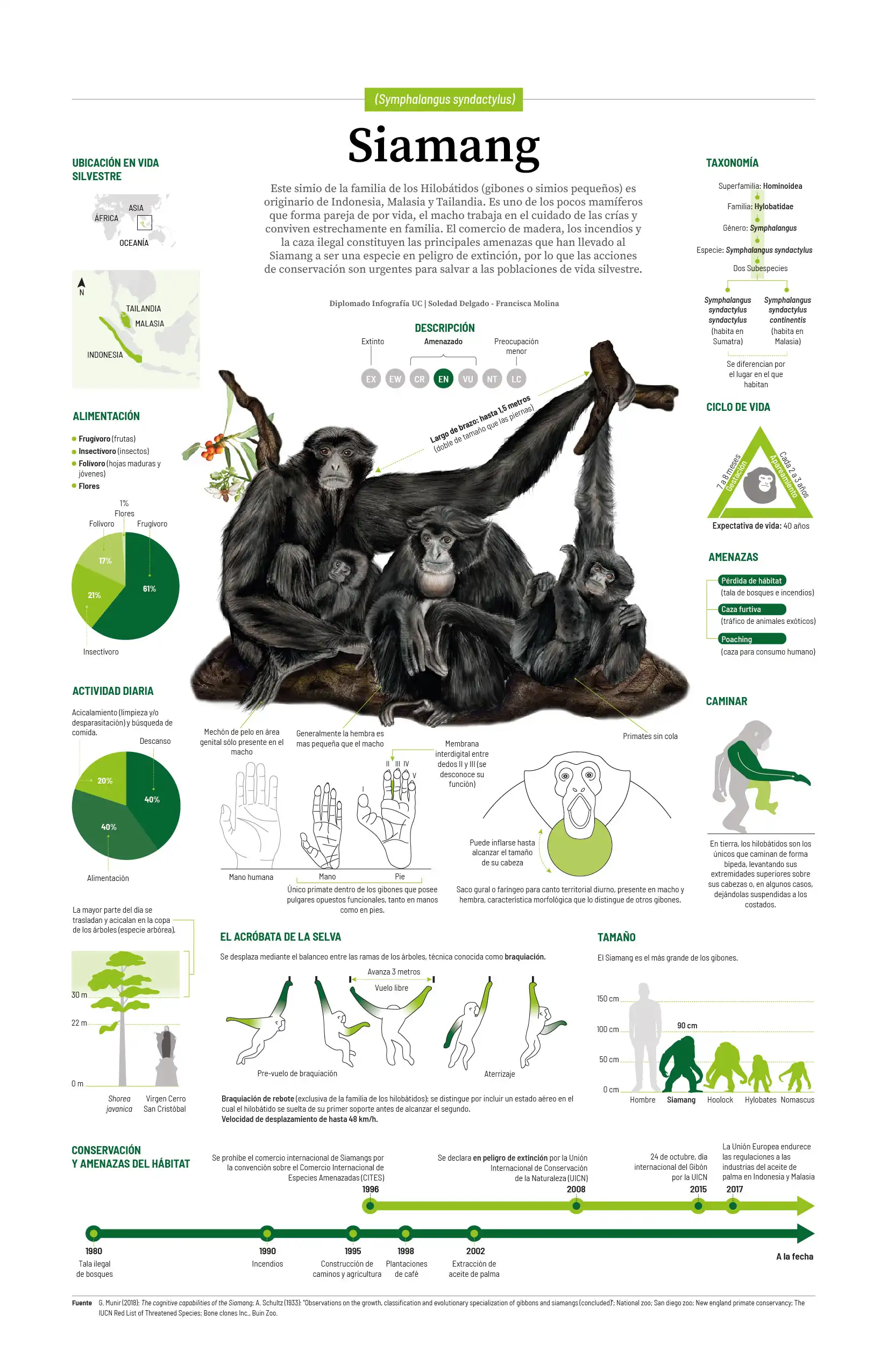 infografía impresa pequeña